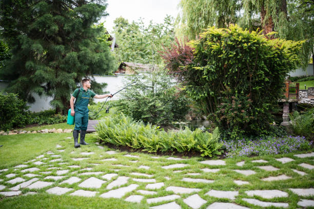 Best Wasp Removal Services  in Mendon, IL