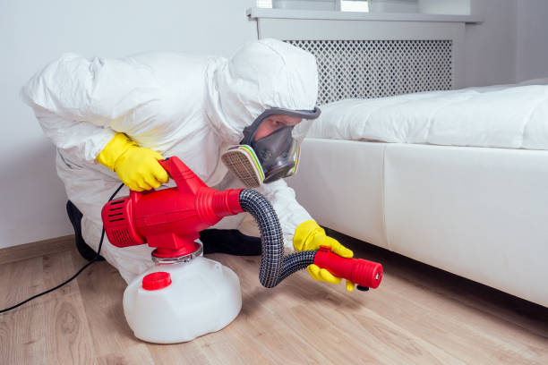 Best Local Pest Control Services  in Mendon, IL