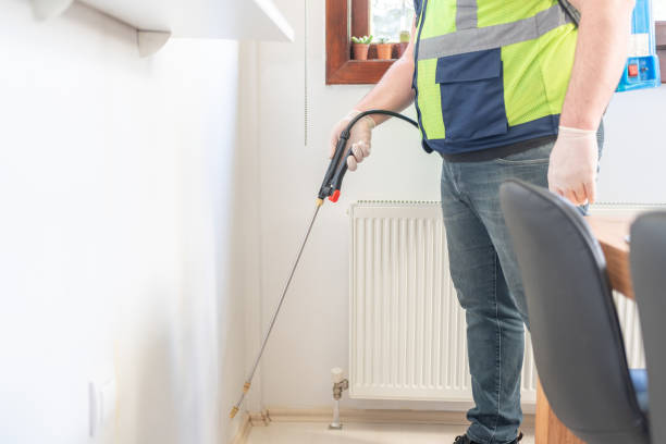 Best Flea Control Services  in Mendon, IL