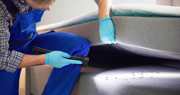Best Affordable Pest Control Services  in Mendon, IL