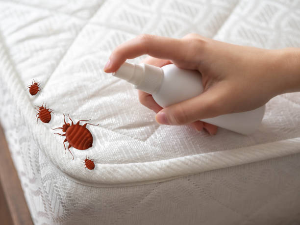 Best Pest Control Cost  in Mendon, IL
