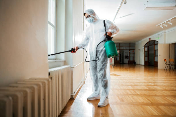 Best Affordable Pest Control Services  in Mendon, IL