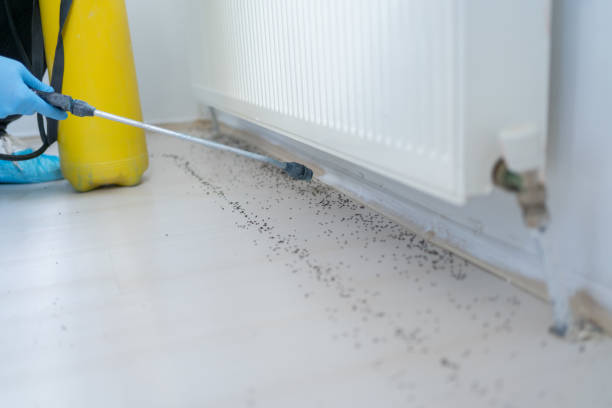 Best Pest Removal Services  in Mendon, IL