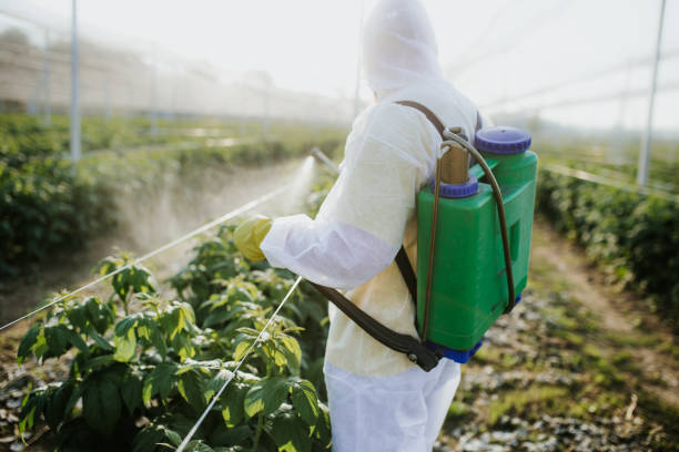 Best Exterminator Services  in Mendon, IL